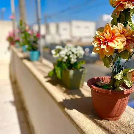 Magic Sunset -